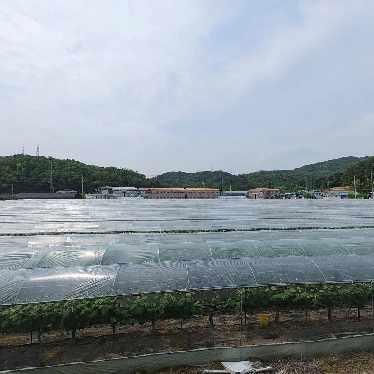 (주)들내음_3