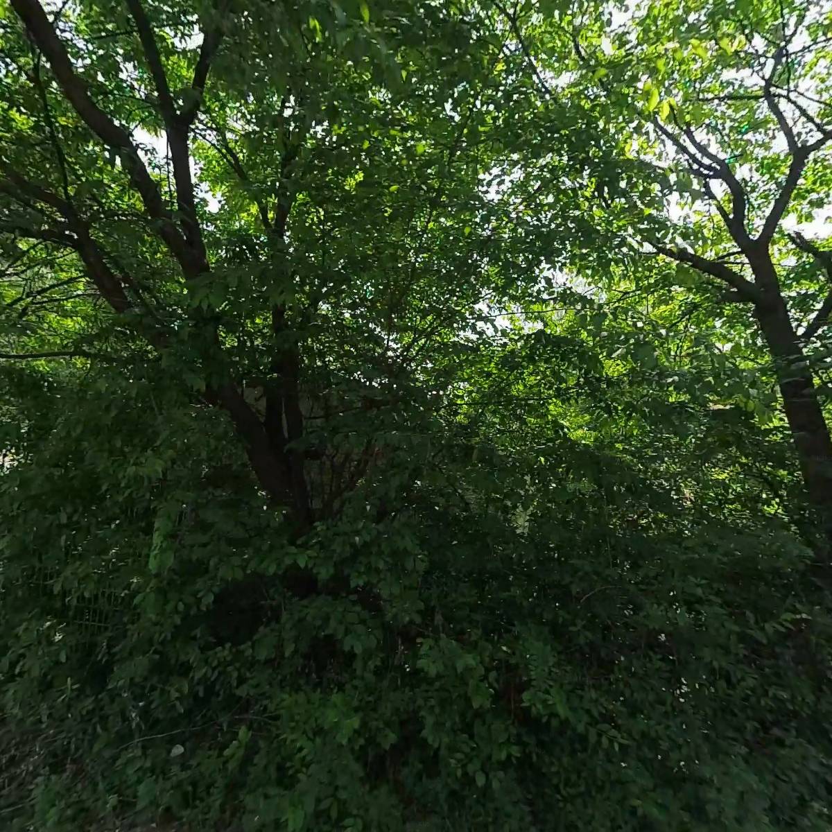 주식회사 씨엔아이하네스