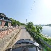 은바위솔다육이_4