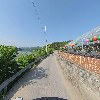 은바위솔다육이_2