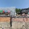 은바위솔다육이_3