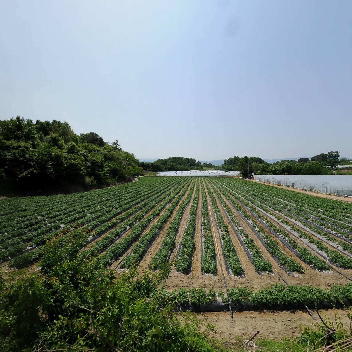 주식회사 구마_3