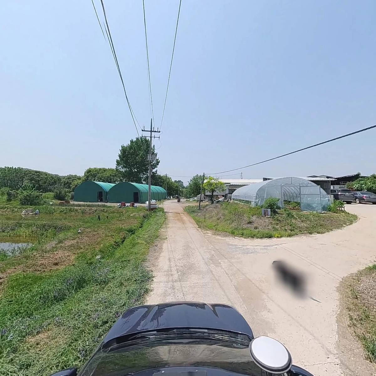 청수양어장_4