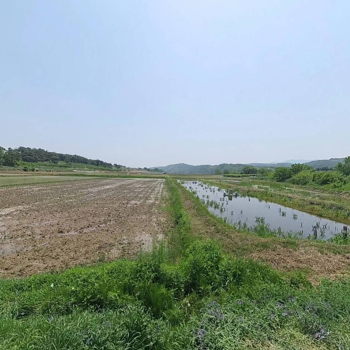 청수양어장_3