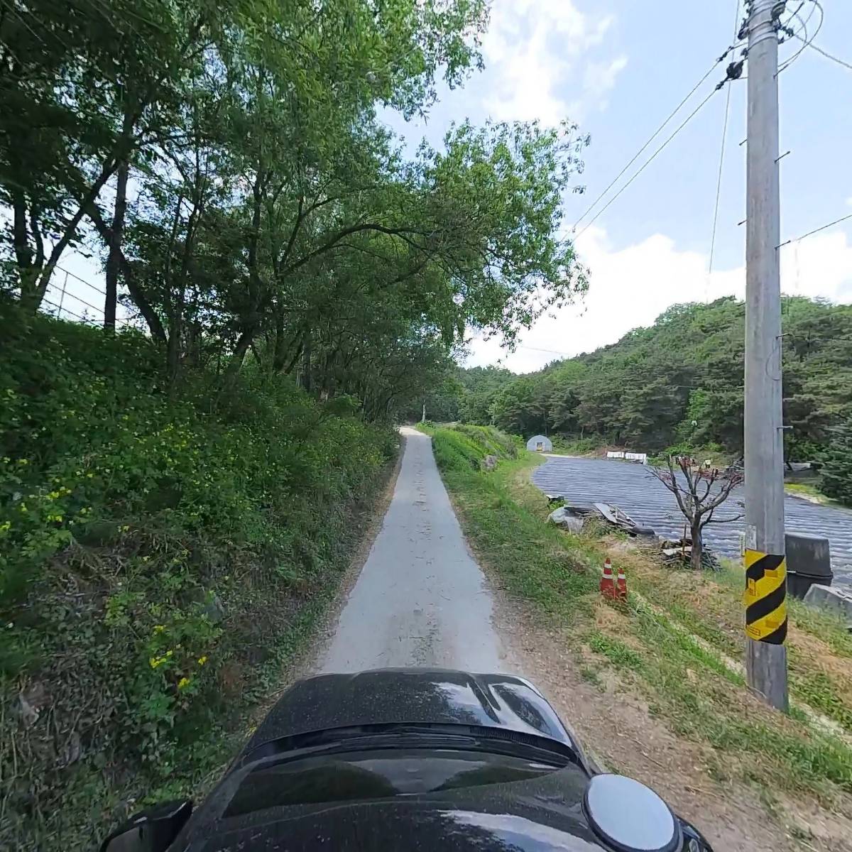 인 람_4