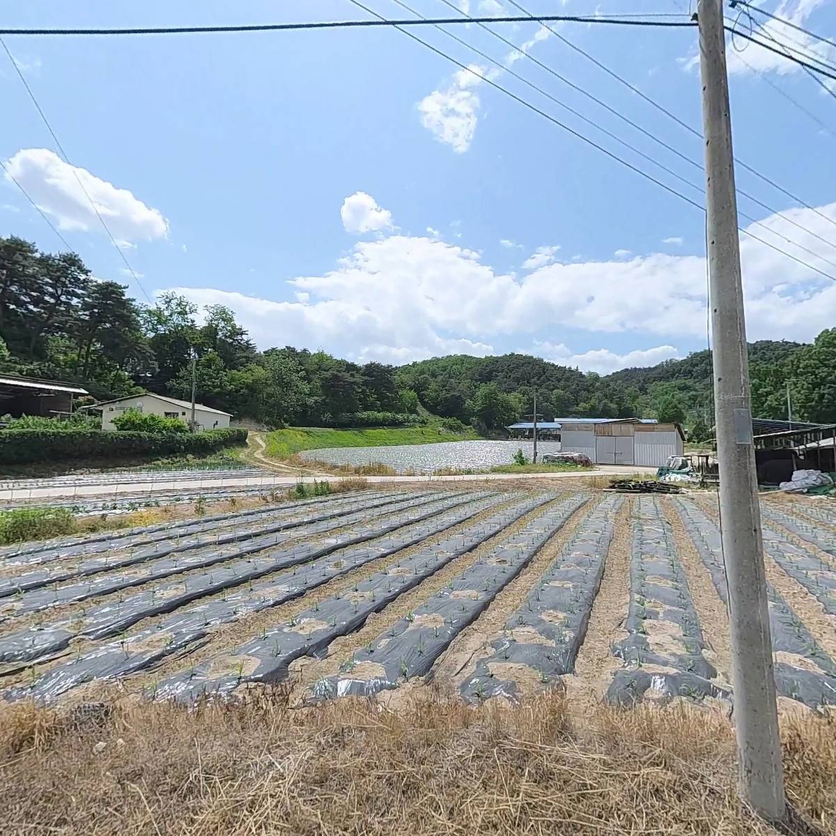 주식회사 산울