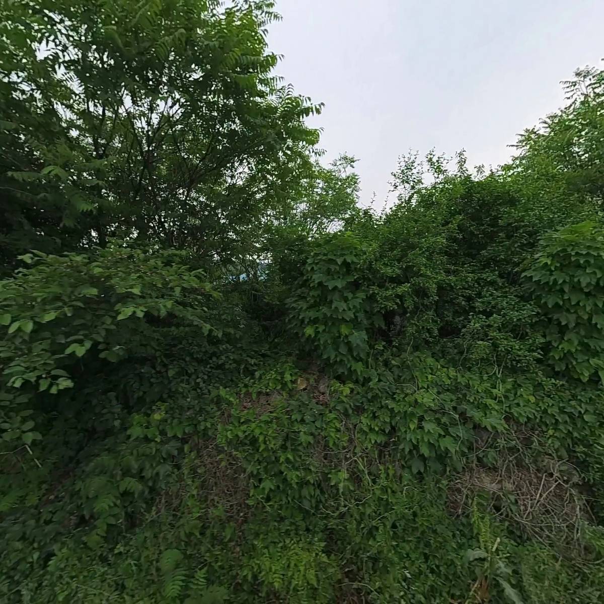 한국과원지주시스템_3