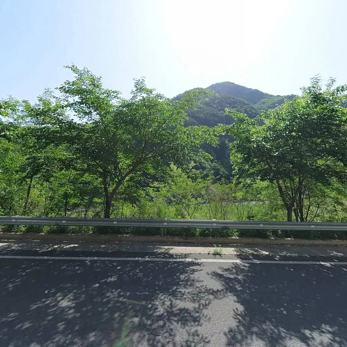 청송 달고나 사과농장_3