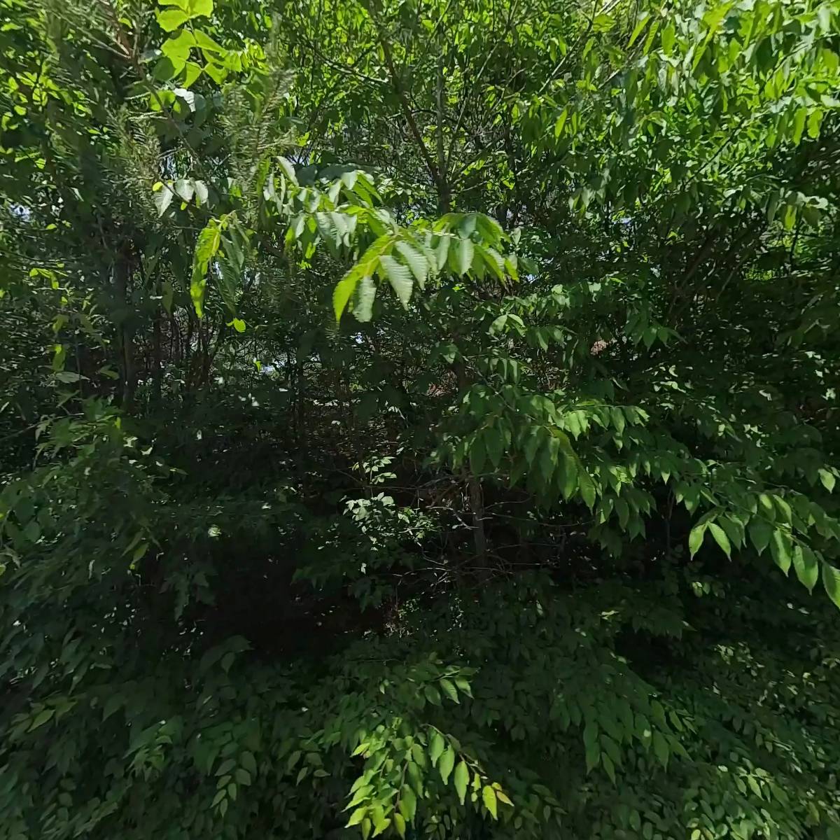 에덴청송사과농장