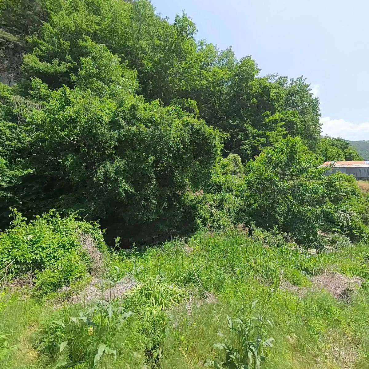 에덴청송사과농장_3