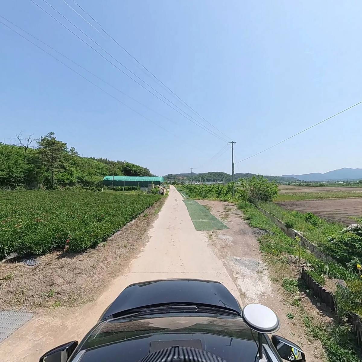 형제농원_4