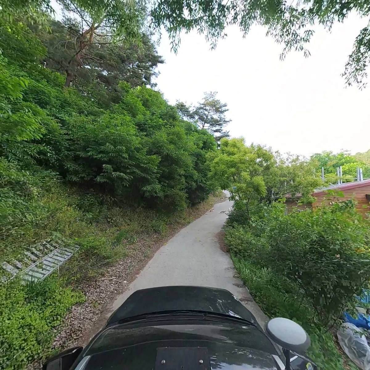 문수자두작목반_4