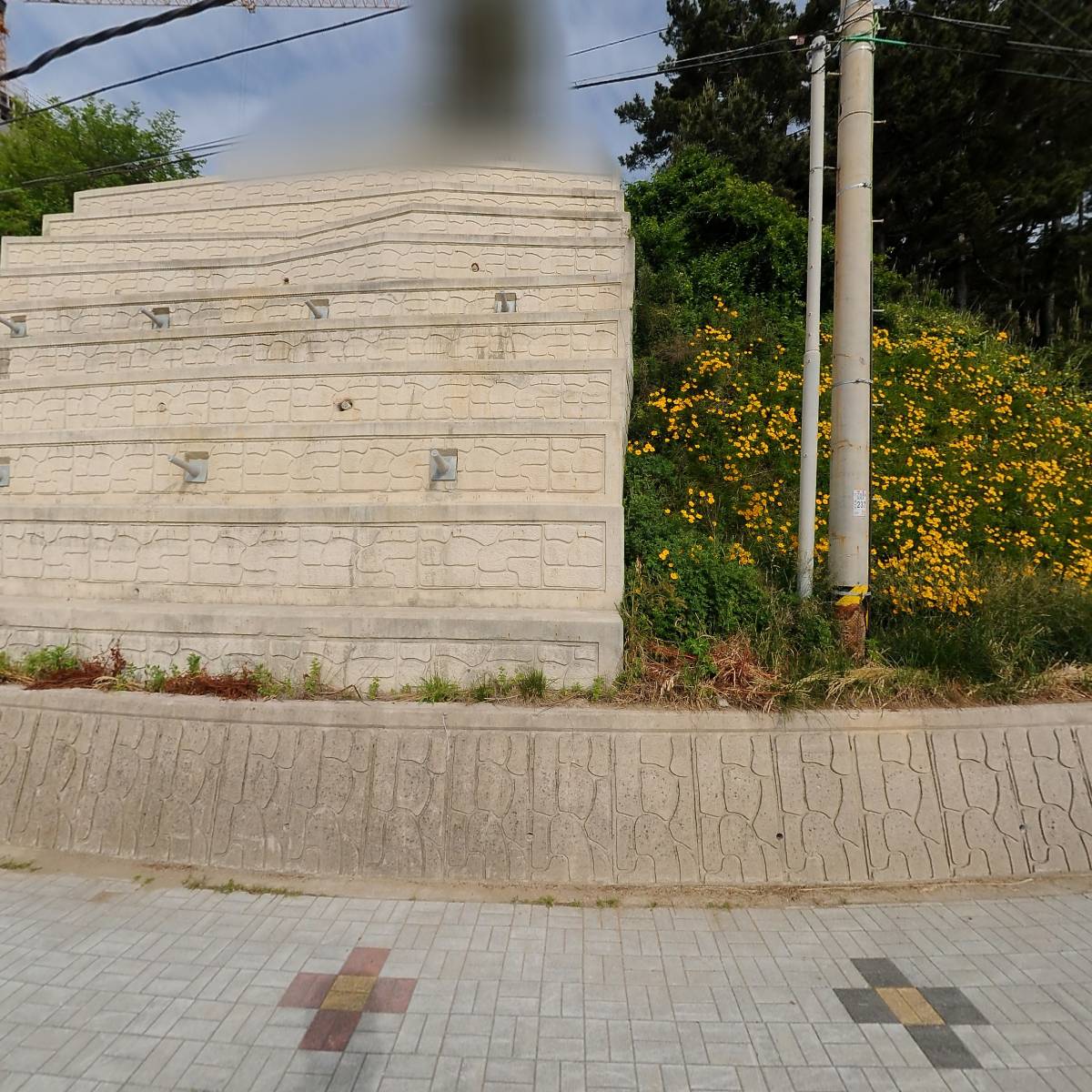 착한영덕수족관수산