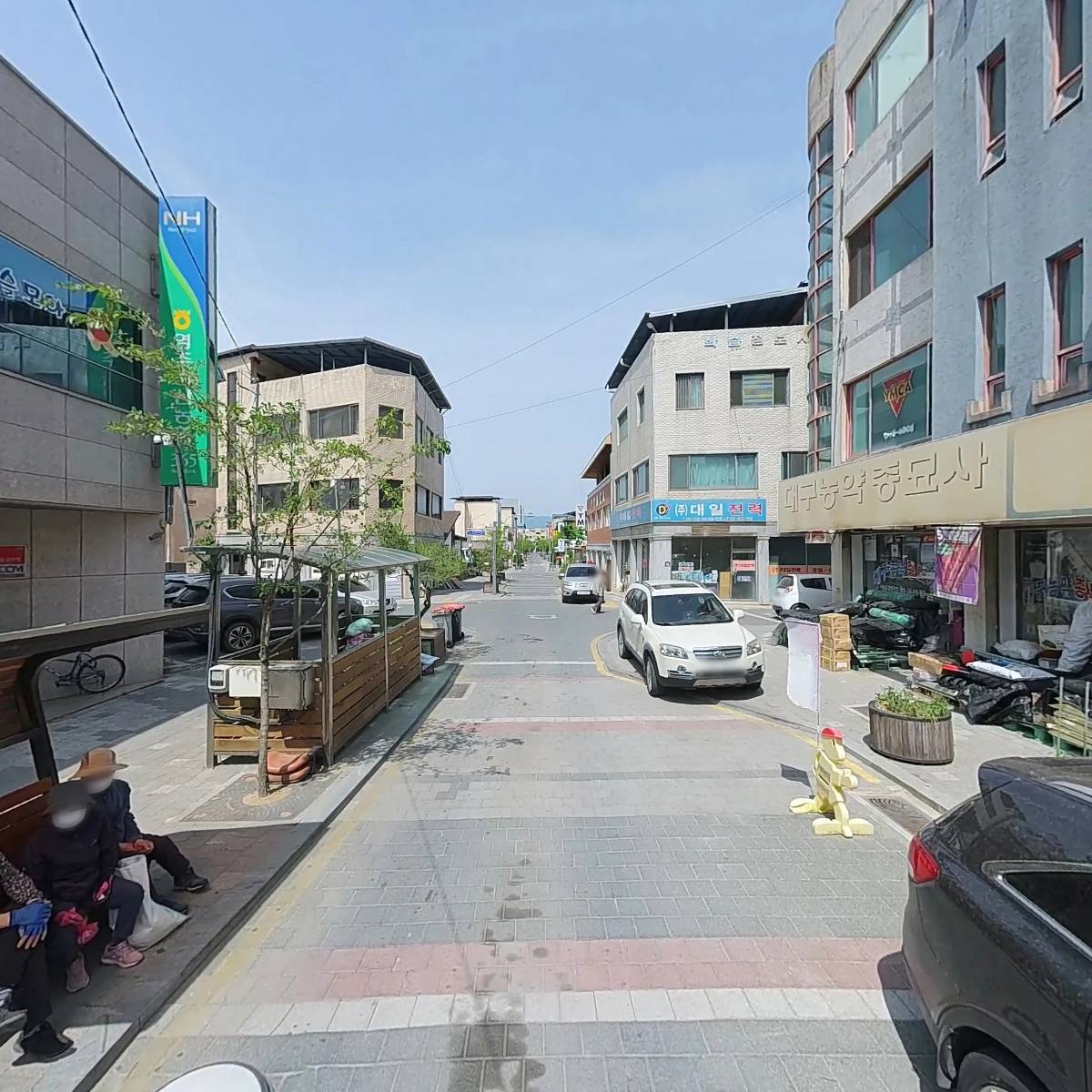대구농약종묘사_2