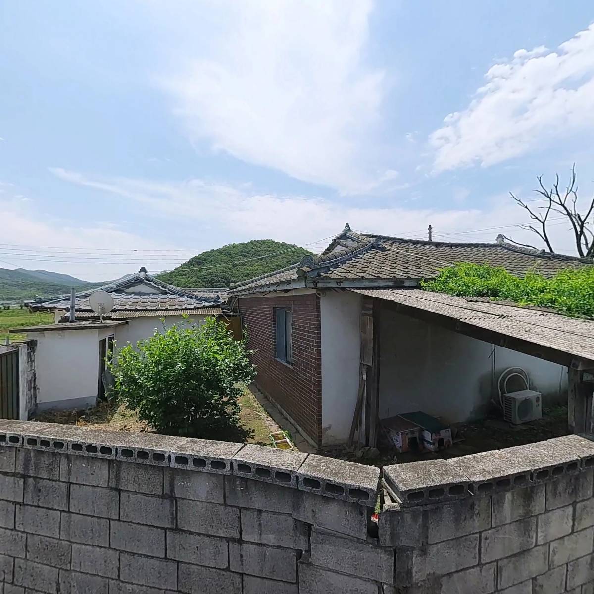 동심제과