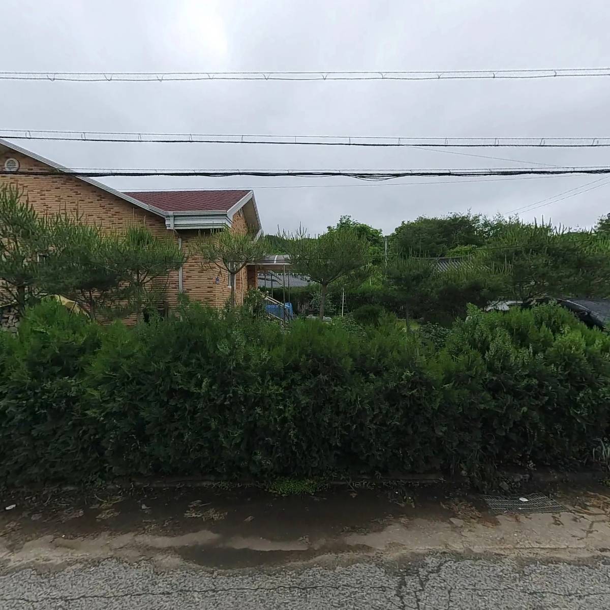 청진유통