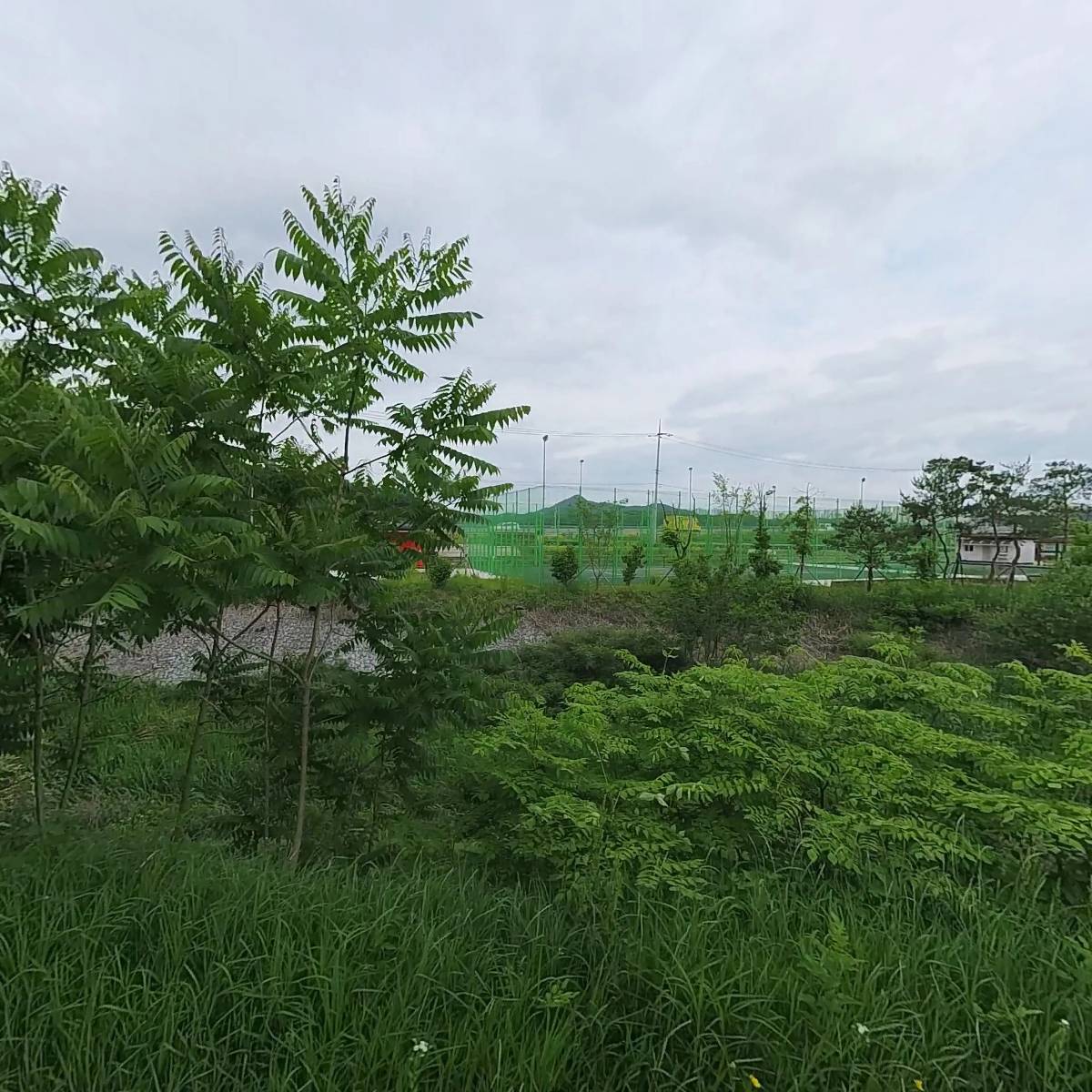 주식회사 모모스