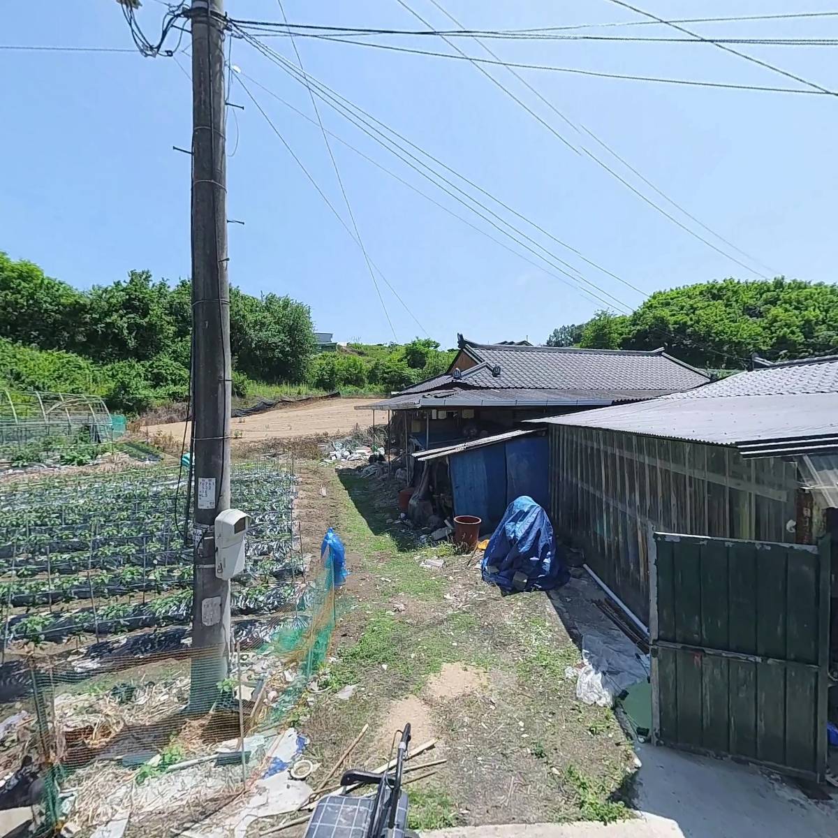 그린식물연구소_3