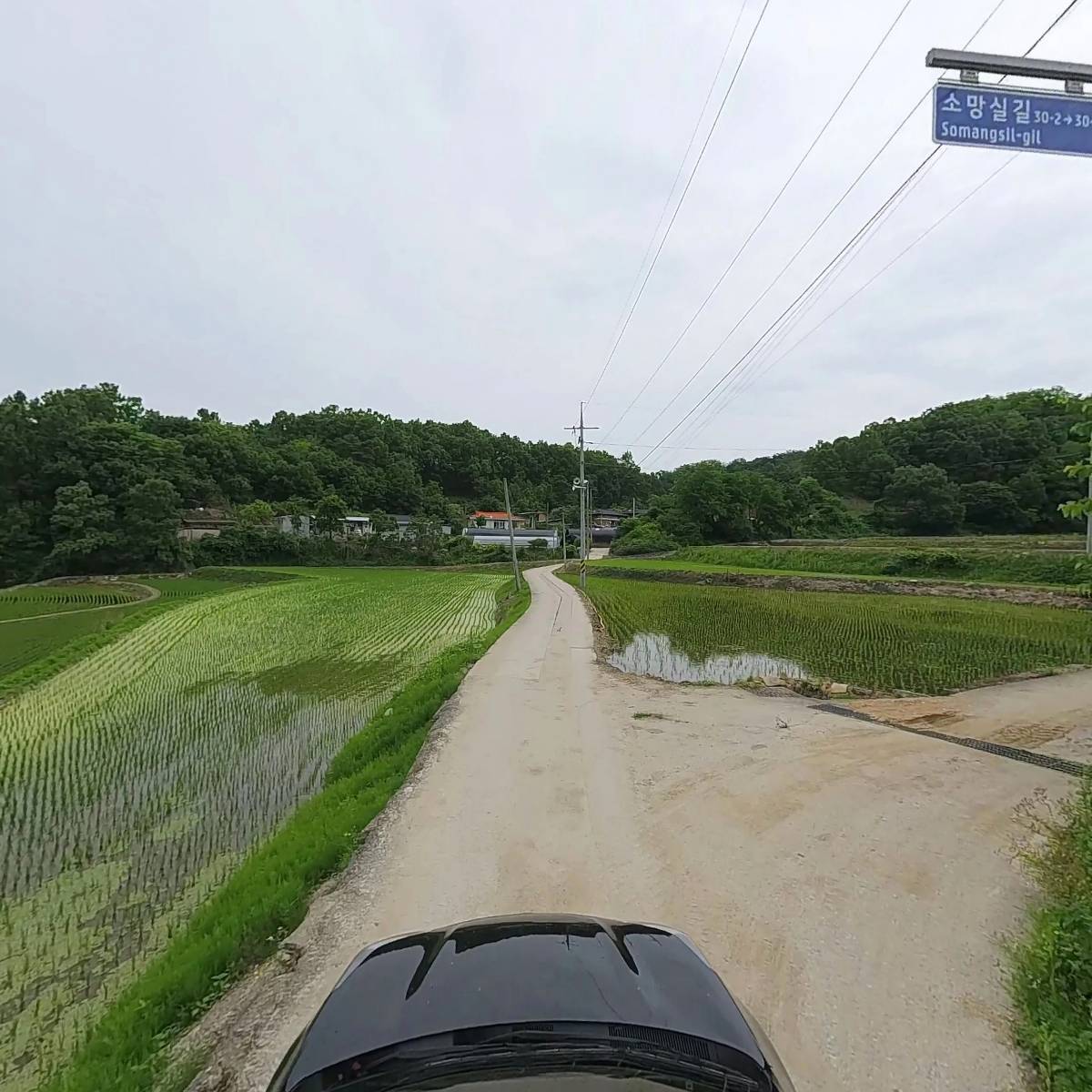 호명면황지리소망실노인회_4