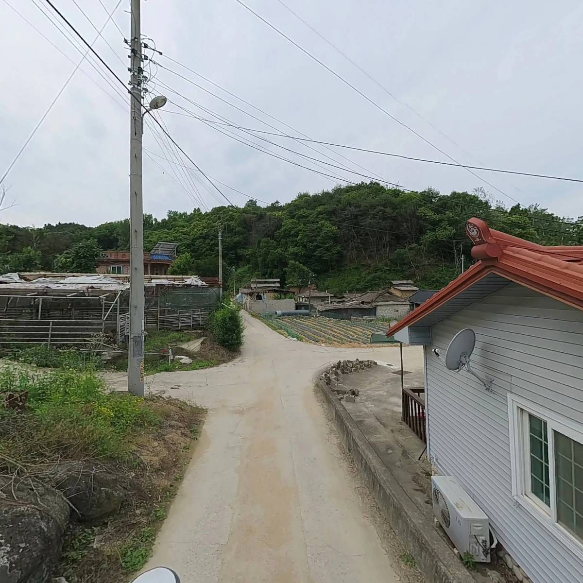 호명면황지리소망실노인회_2