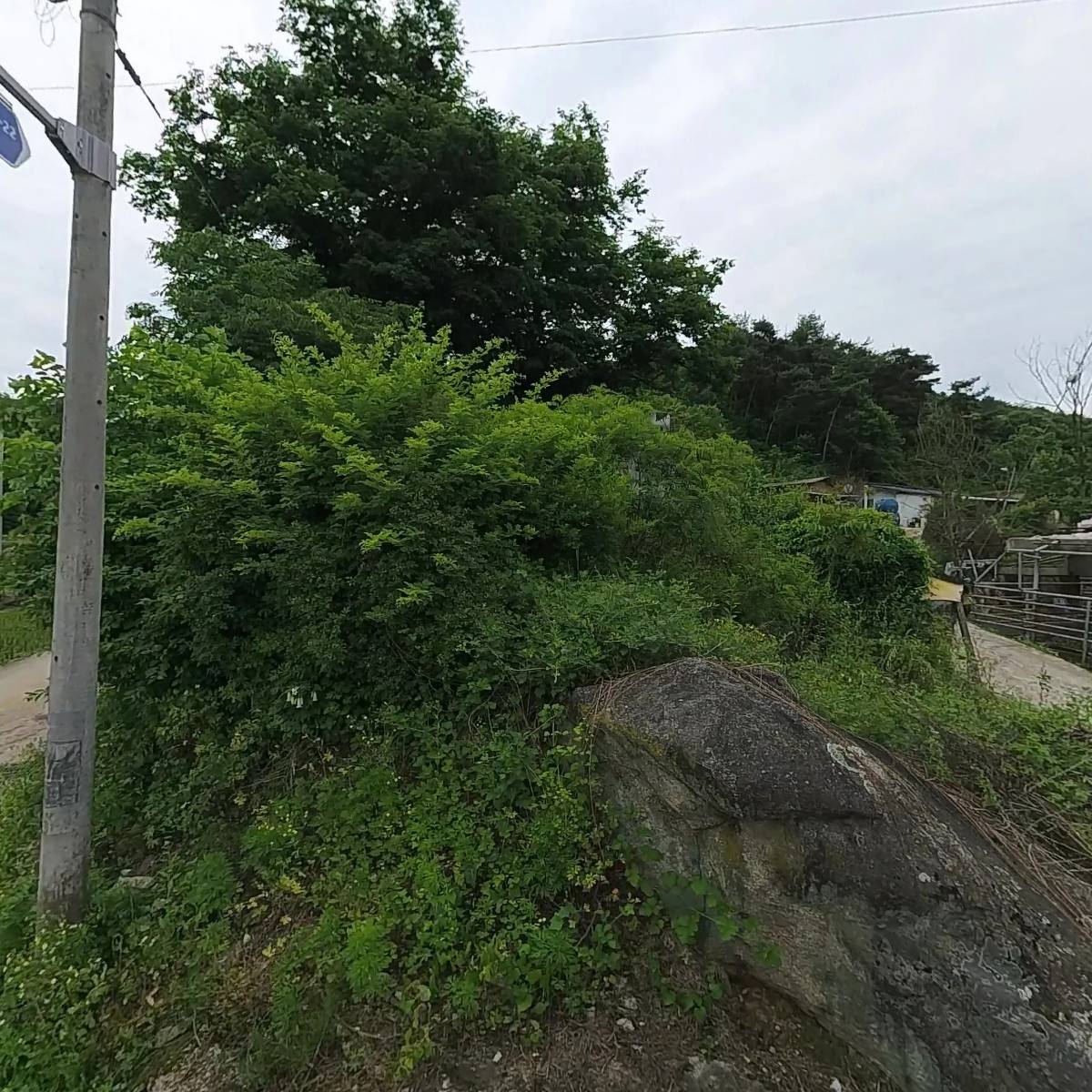 호명면황지리소망실노인회
