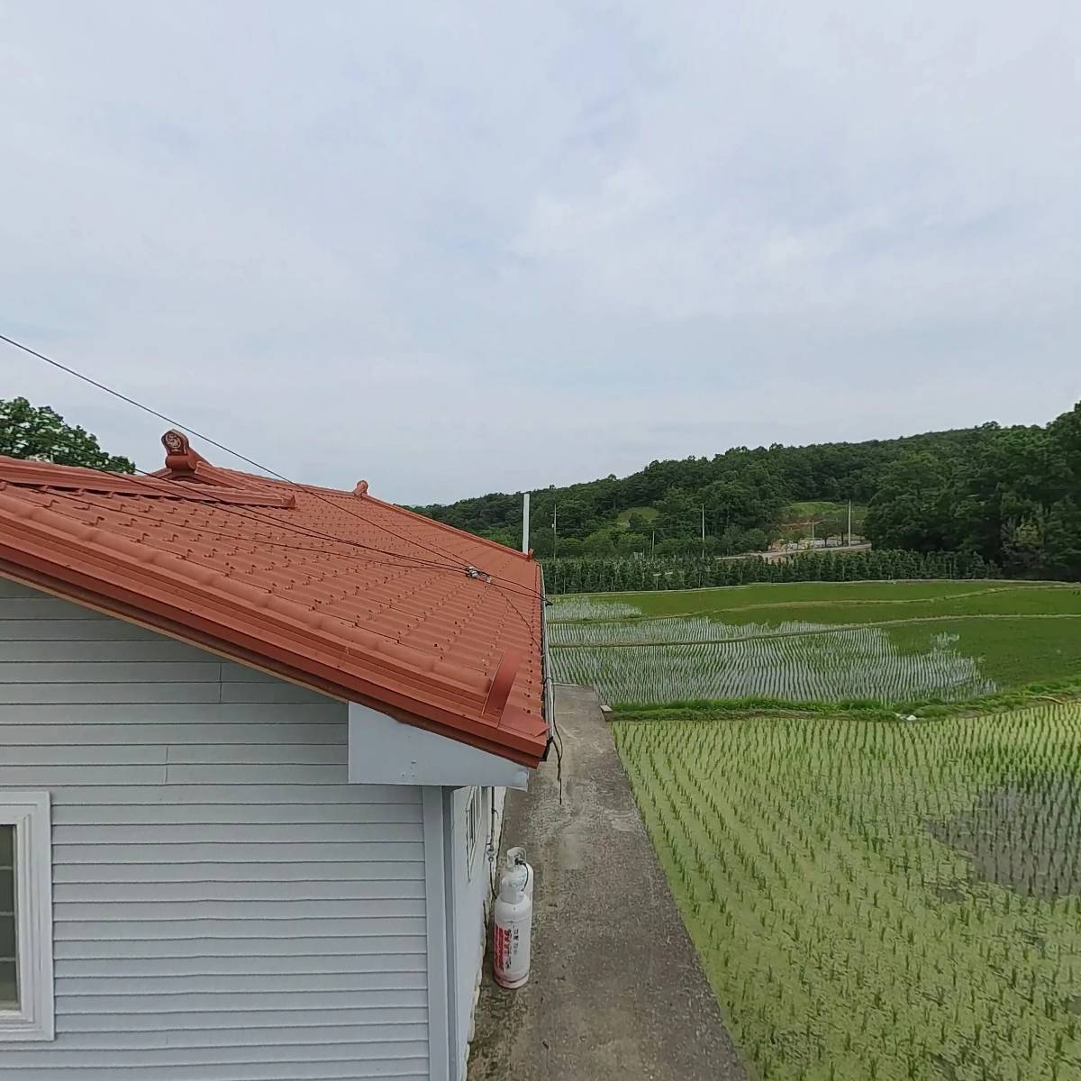 호명면황지리소망실노인회_3