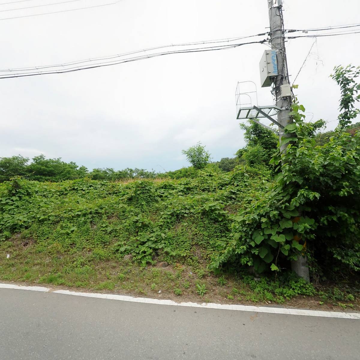 (주)대도화학 2공장 지점