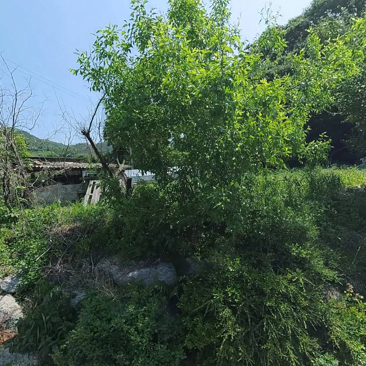 마천리노인회