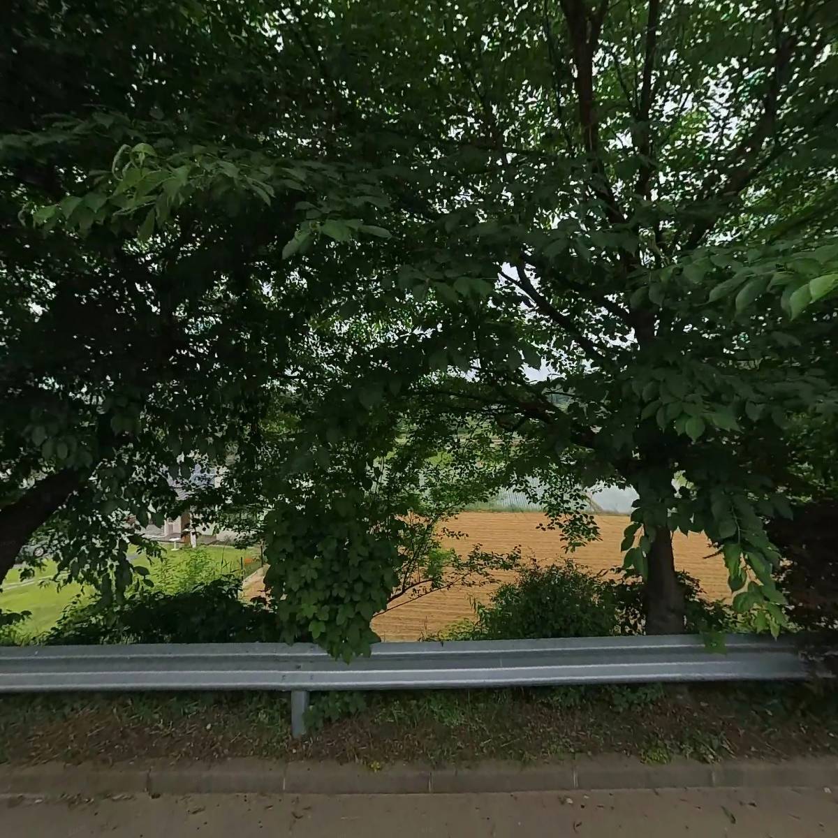 안드레