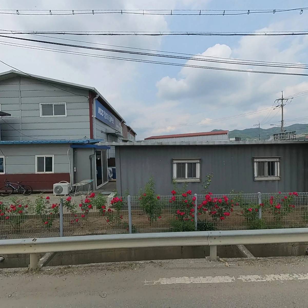 오홀리브