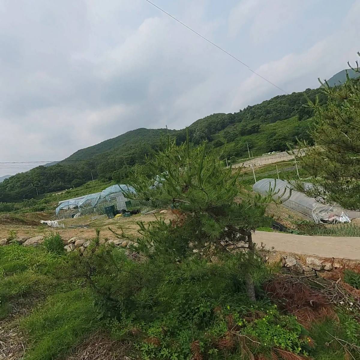 동아산업