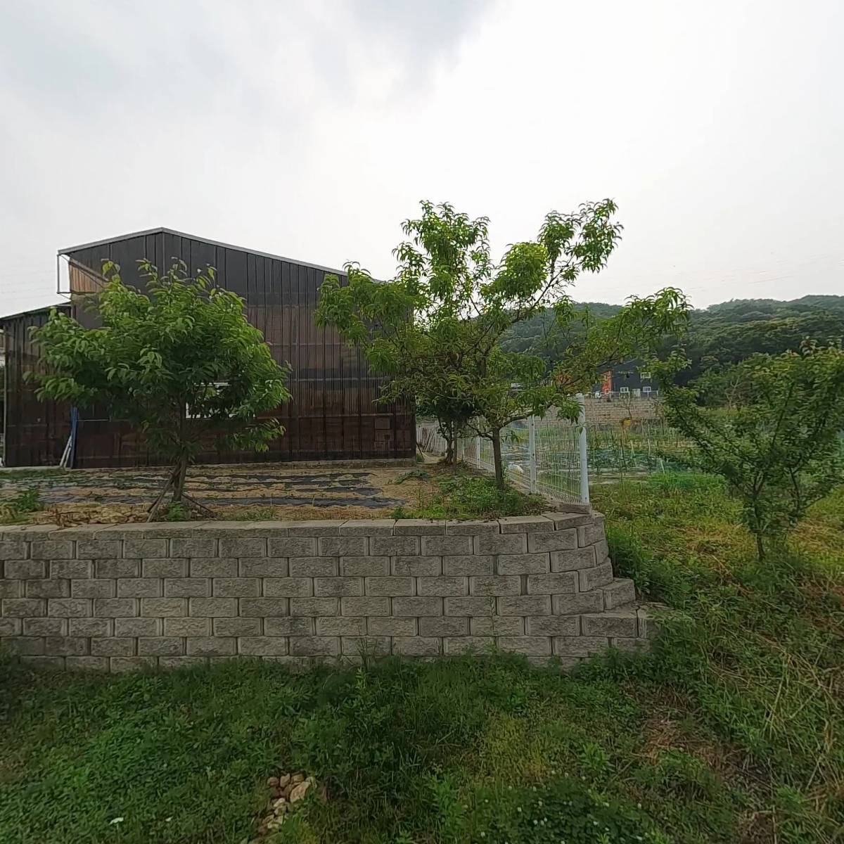 주식회사 디에이솔루션