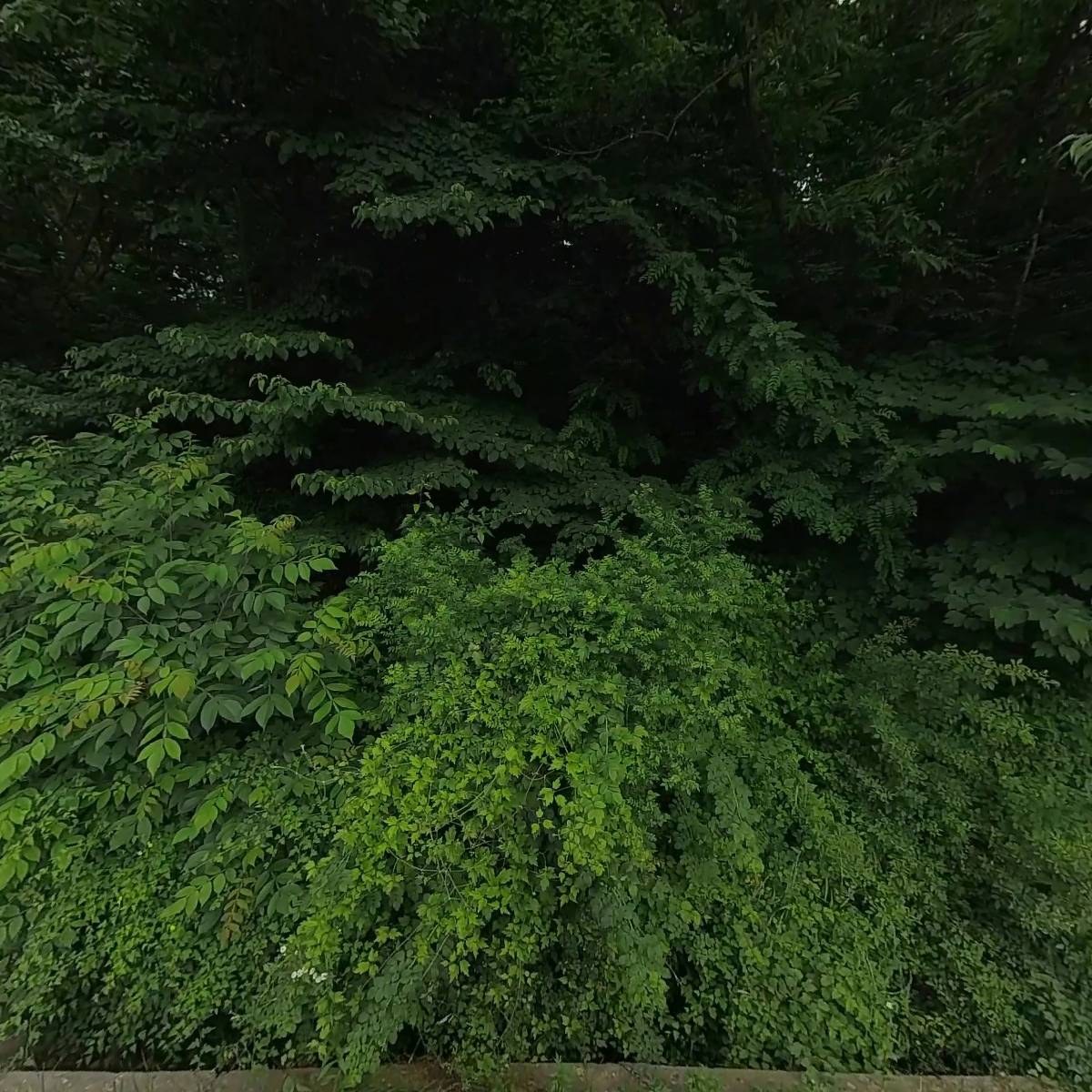 동진운수1479_3