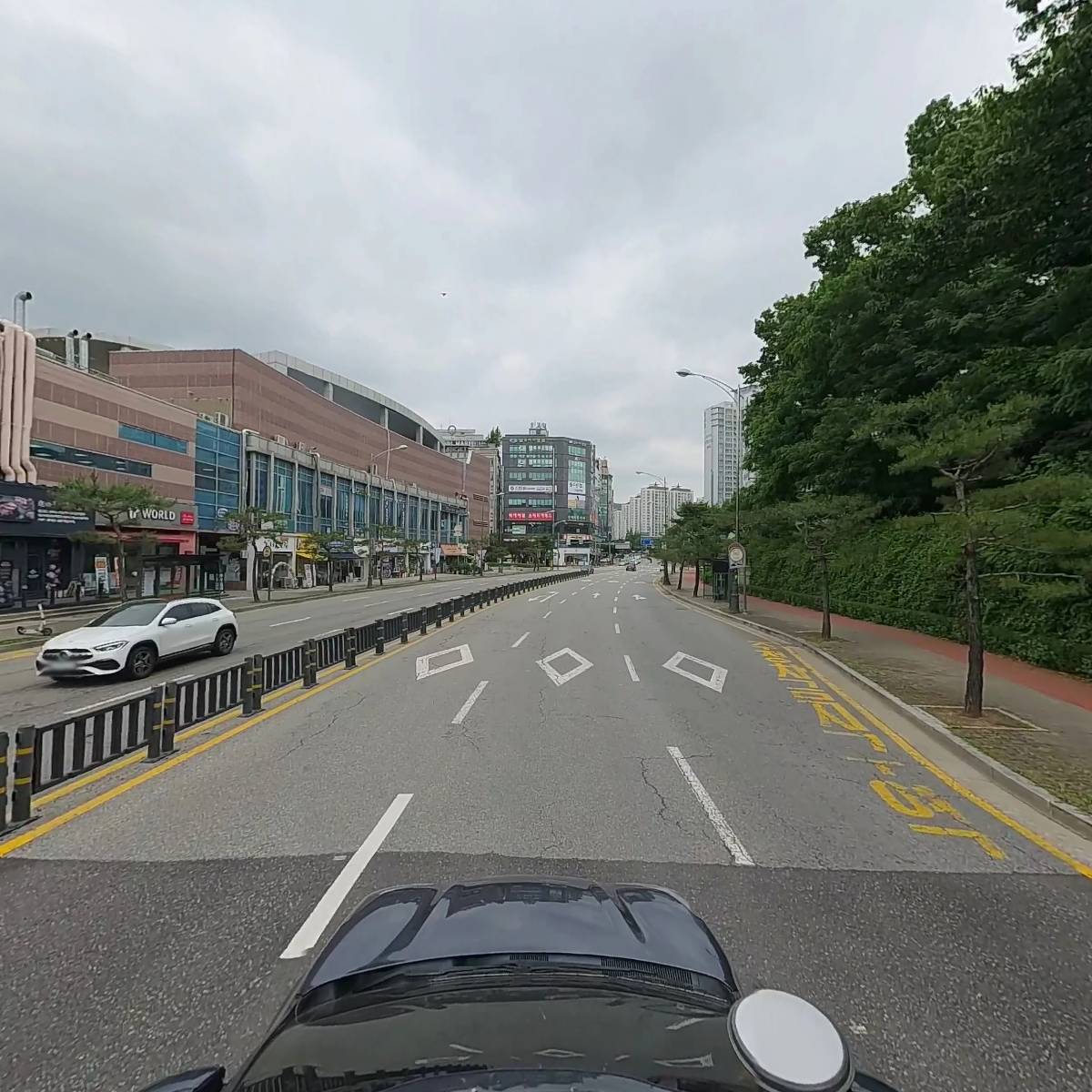스테인동백_4