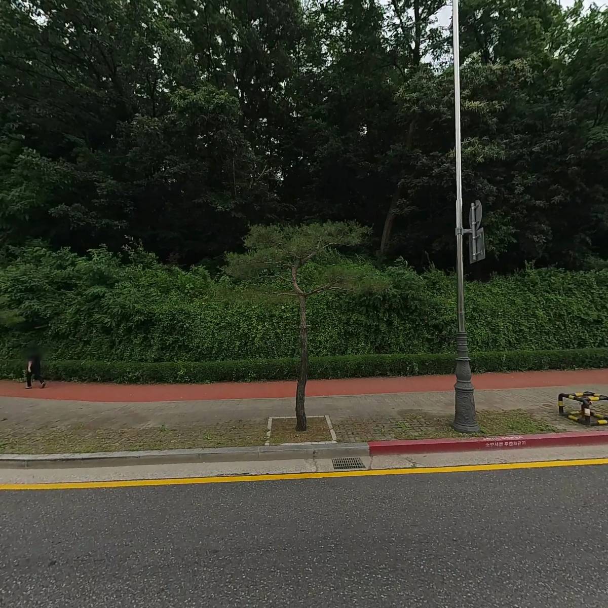 스테인동백