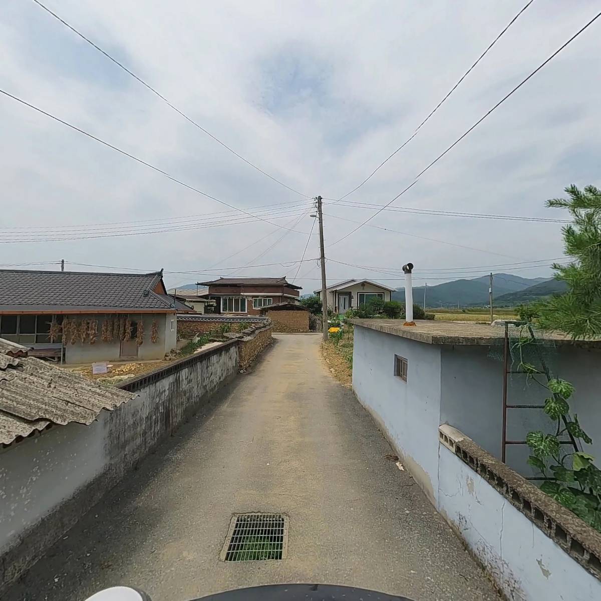 금곡농원_2