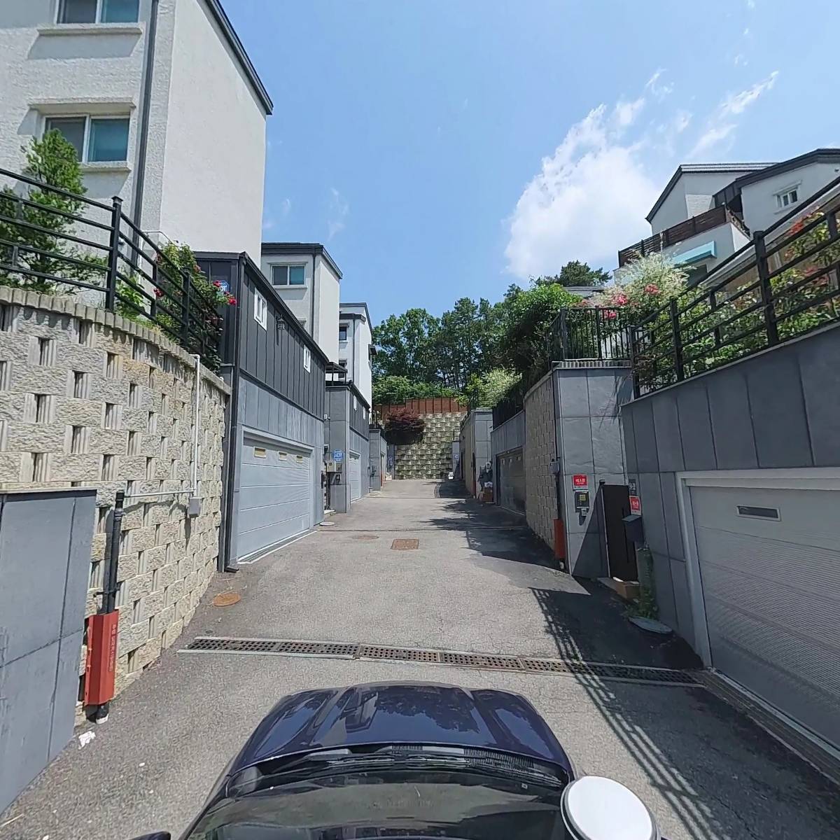 주식회사 달리_4