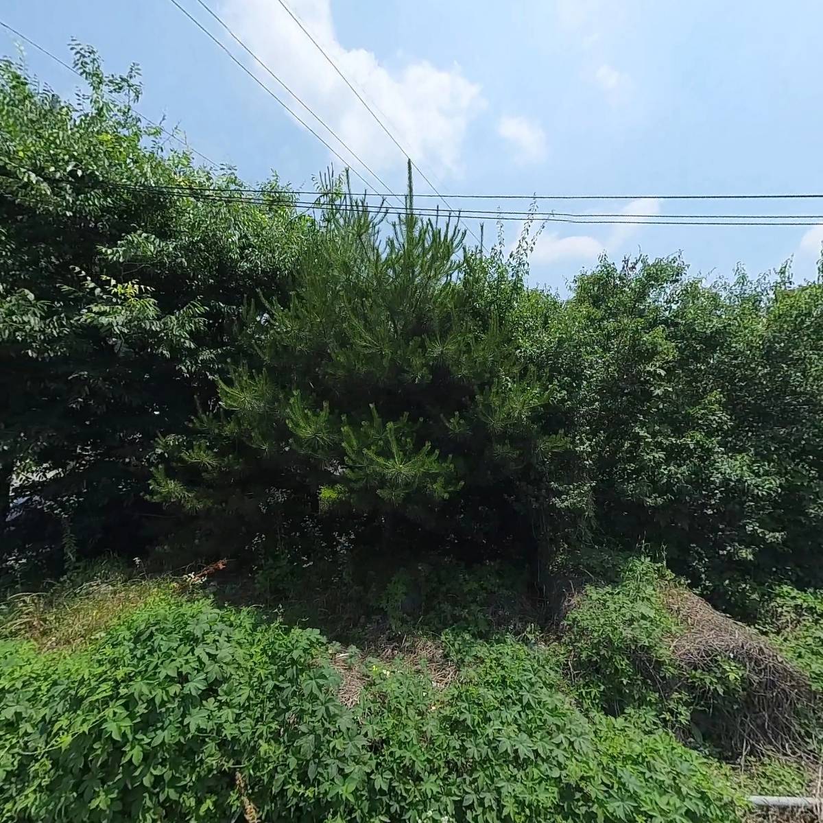 시방상사_3