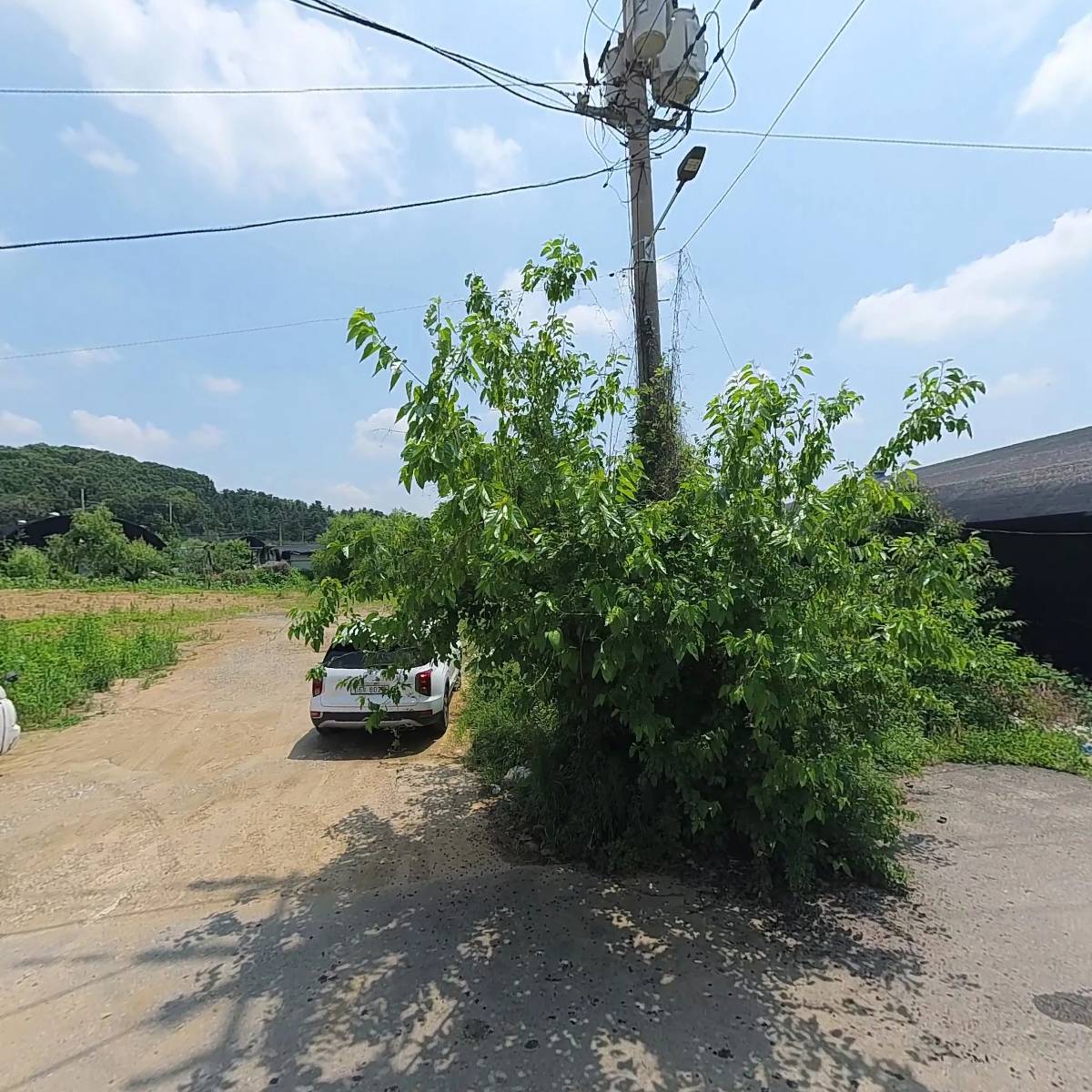 노랑마켓_3