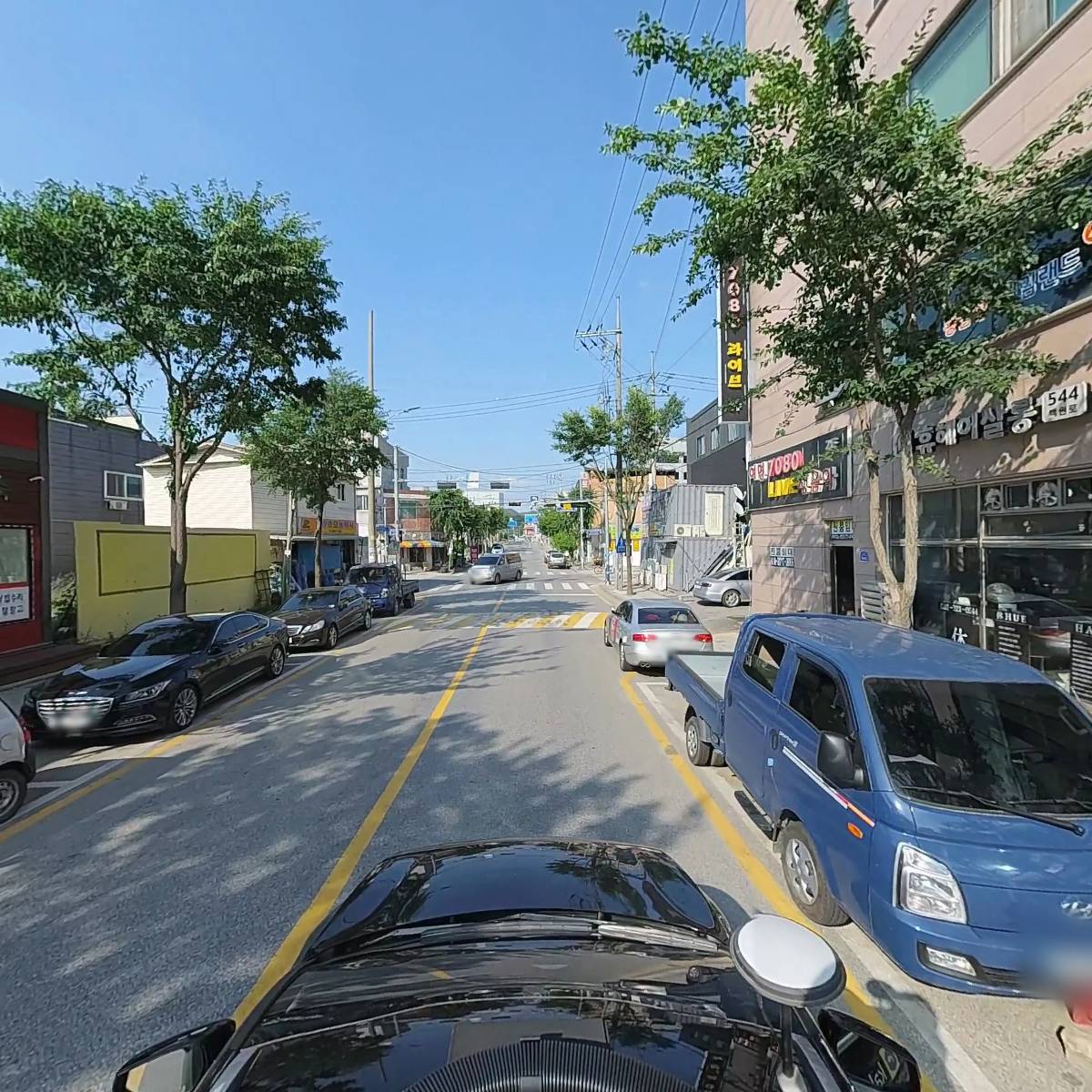 홍류_4