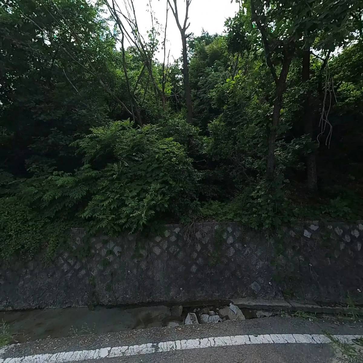 호남화구_3