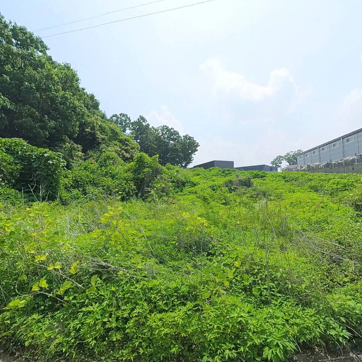 (주)세디텍
