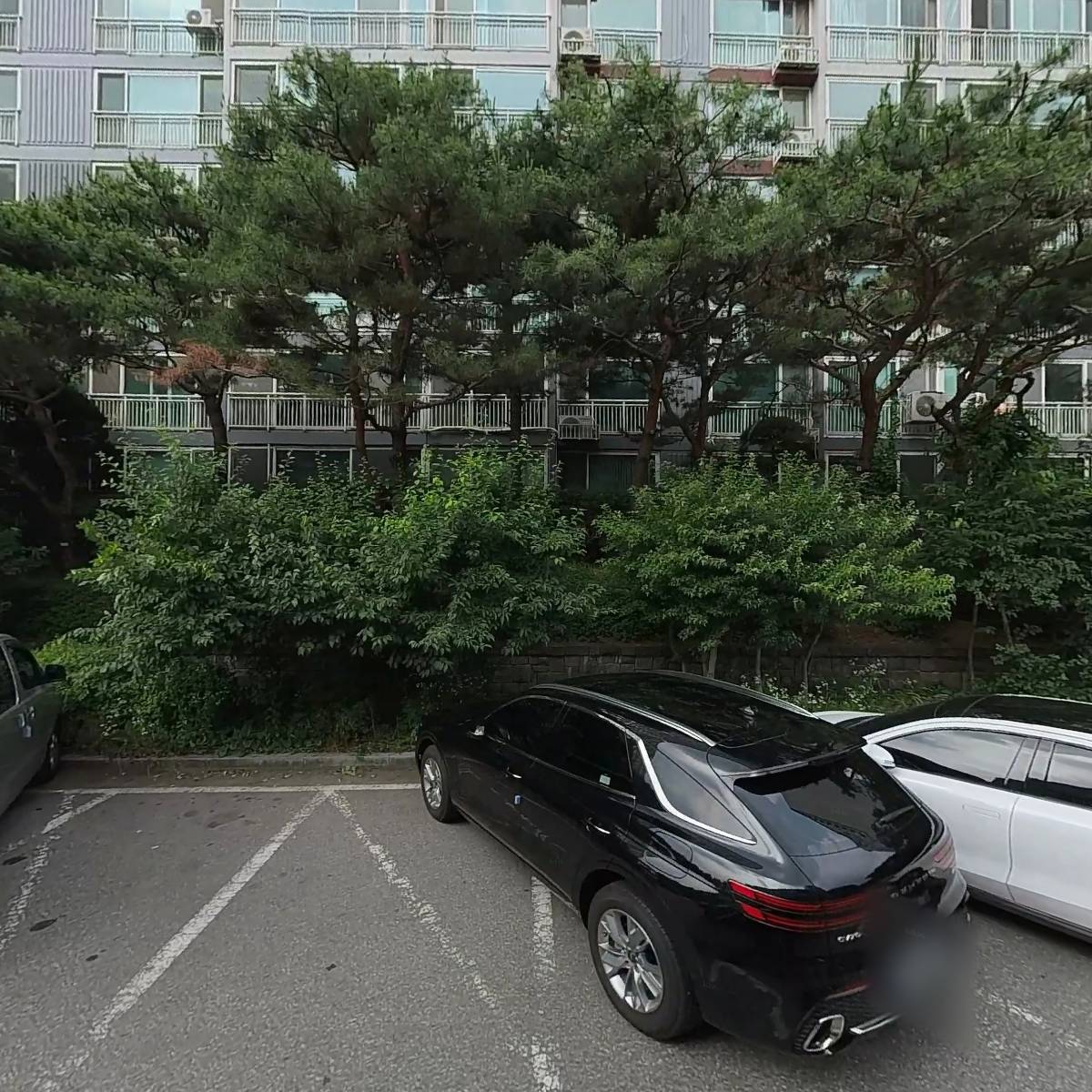 엘림의원
