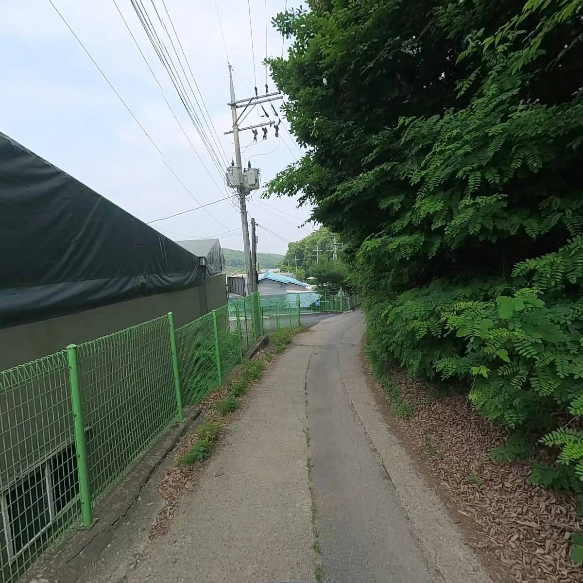 상진화학_2
