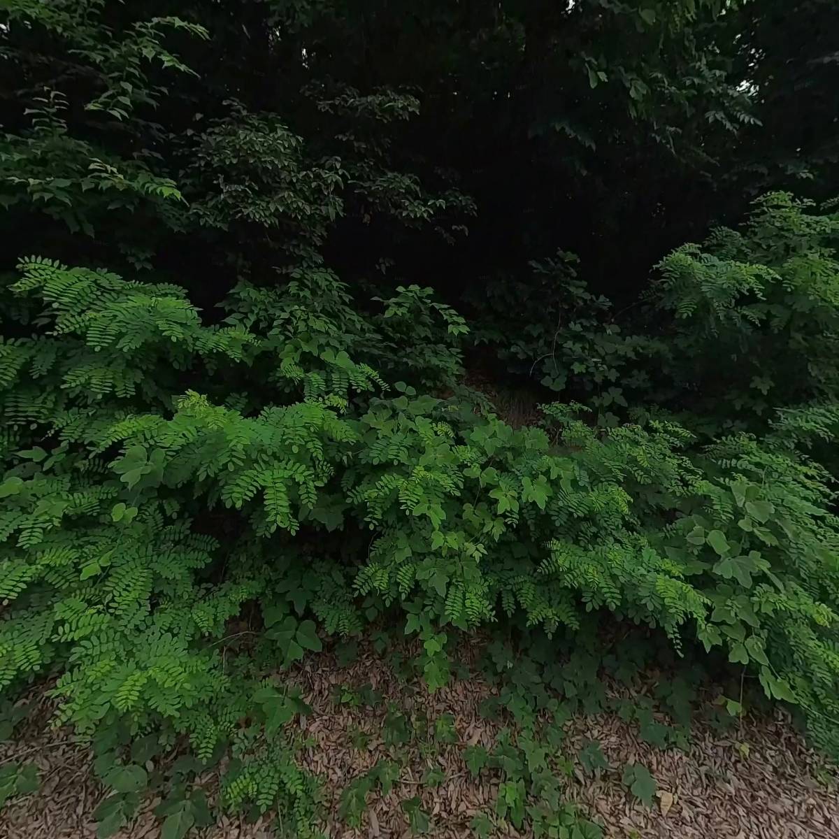 상진화학_3