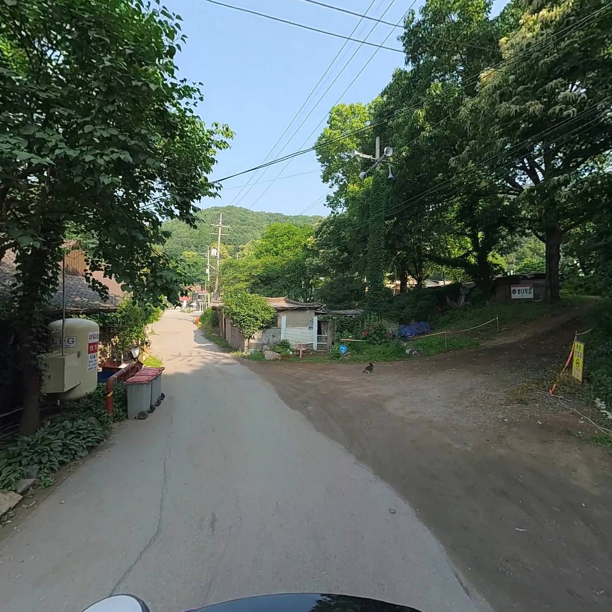 카페애룡호수_2