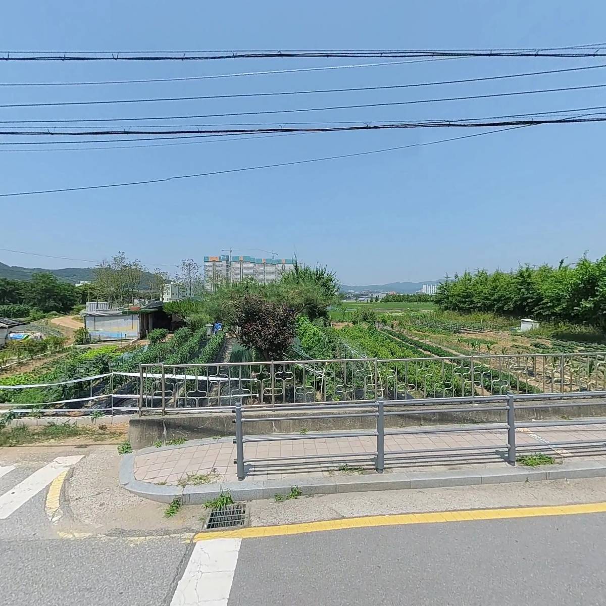 철이네밥집포차