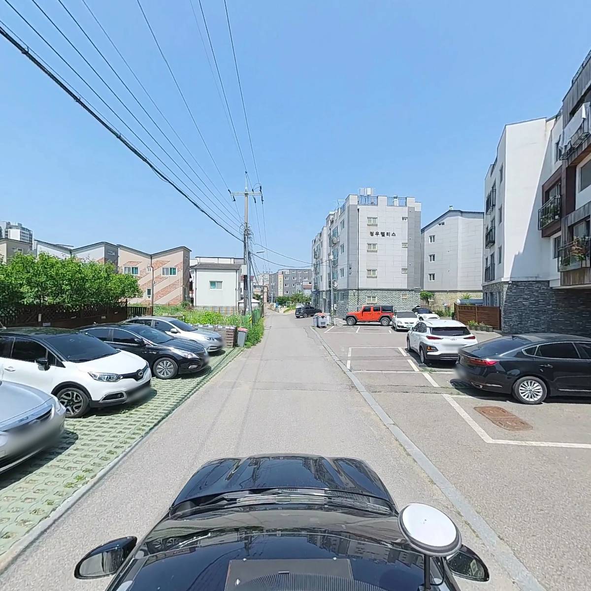 몰핀아트_4