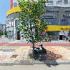 월드스테이오피스텔 관리단