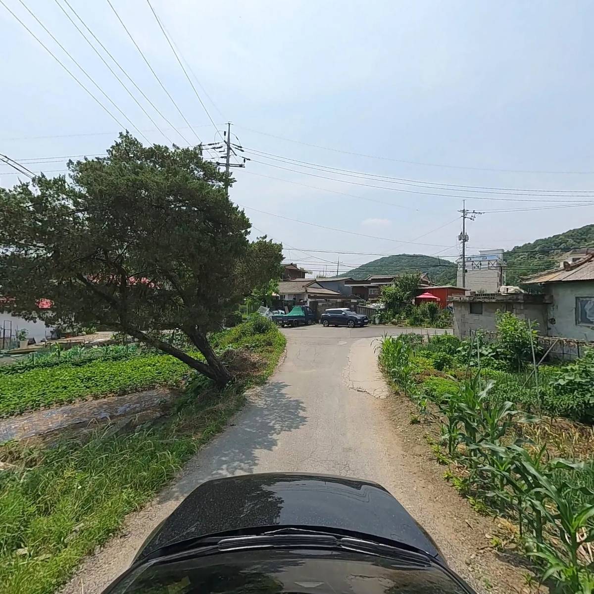 보우아트_4